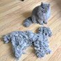 Как избавиться от колтунов у кота?